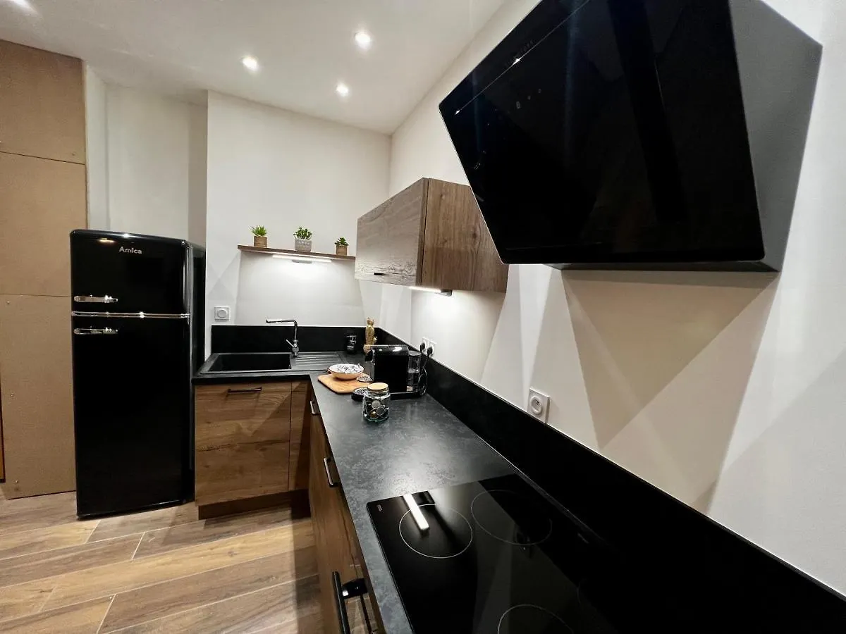 Appartement Cosy Centre Ville Roanne 0*,  France