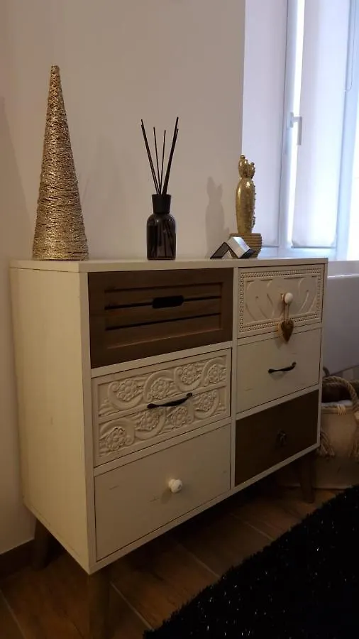 Appartement Cosy Centre Ville Roanne