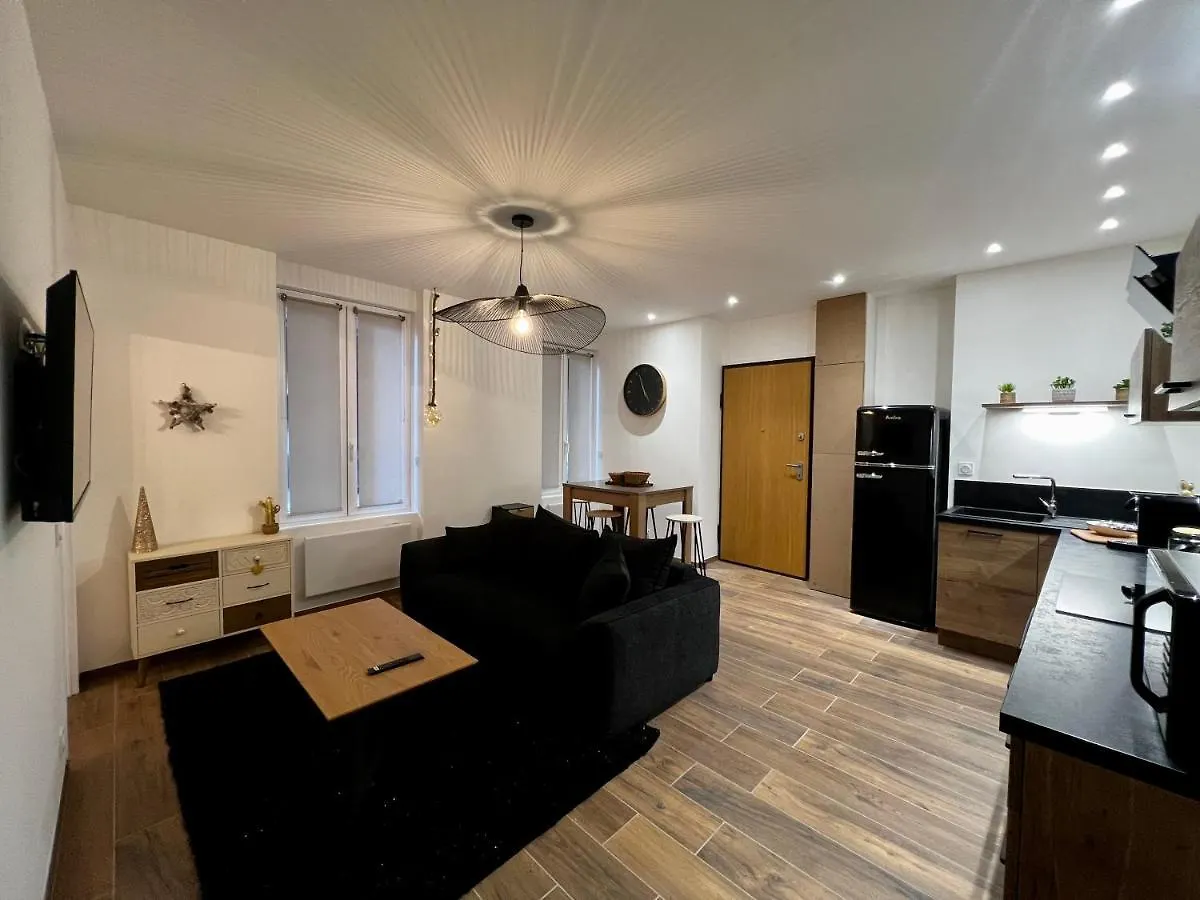 Appartement Cosy Centre Ville Roanne 0*,