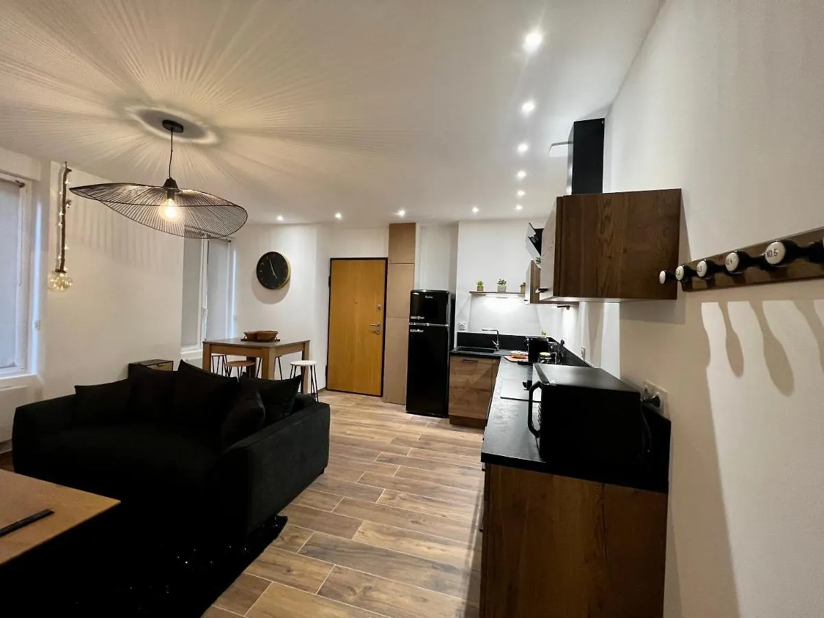 Appartement Cosy Centre Ville Roanne Lägenhet