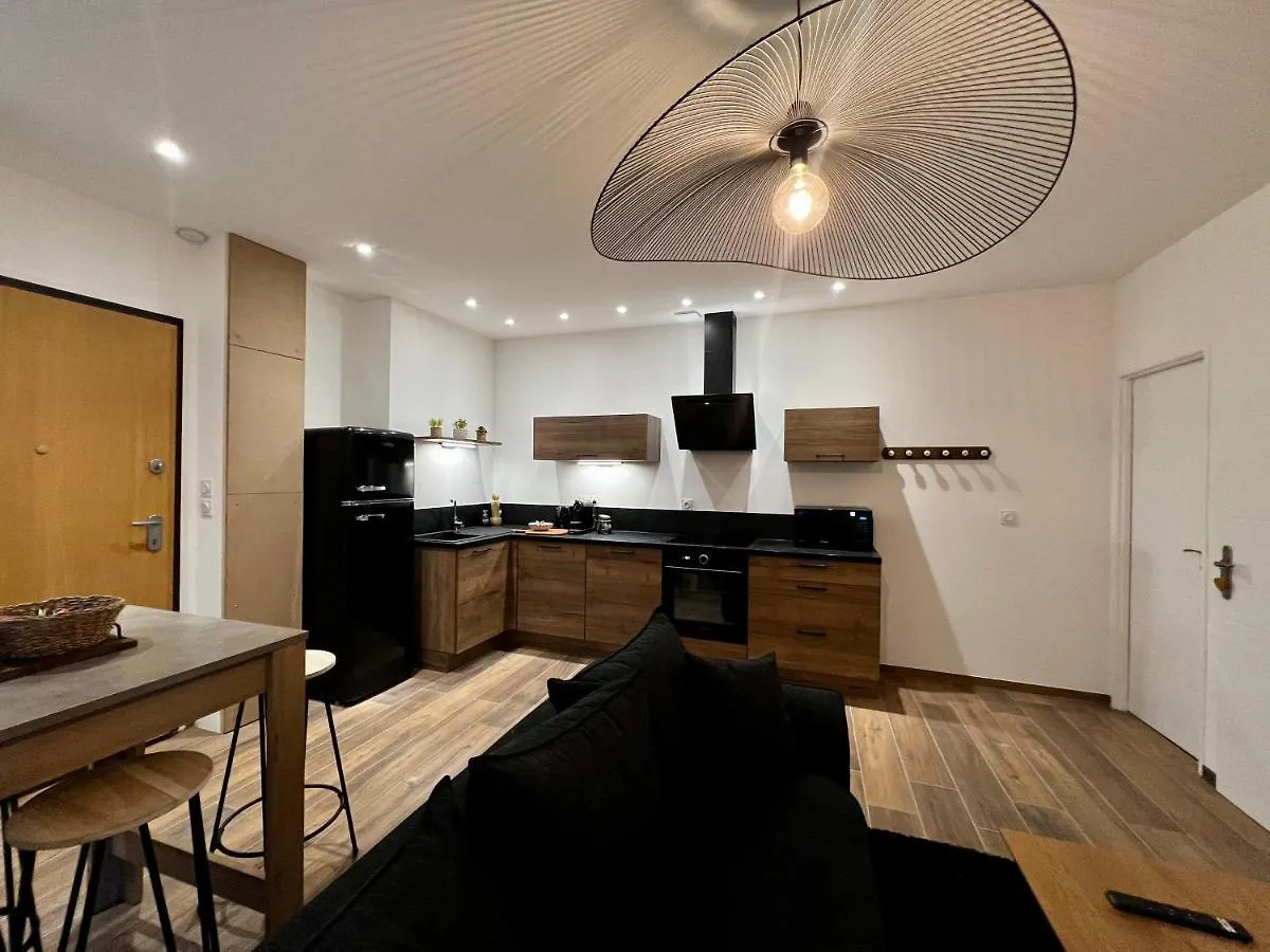 Appartement Cosy Centre Ville Roanne