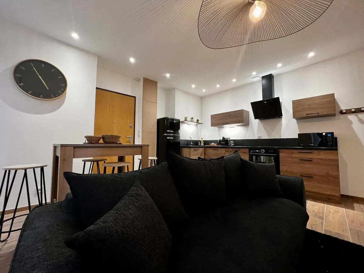 Lägenhet Appartement Cosy Centre Ville Roanne