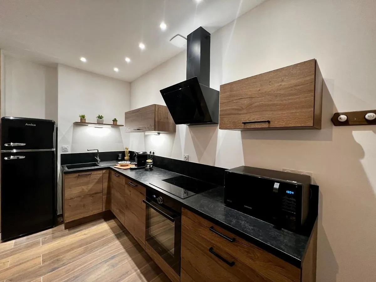 Appartement Cosy Centre Ville Roanne Lägenhet