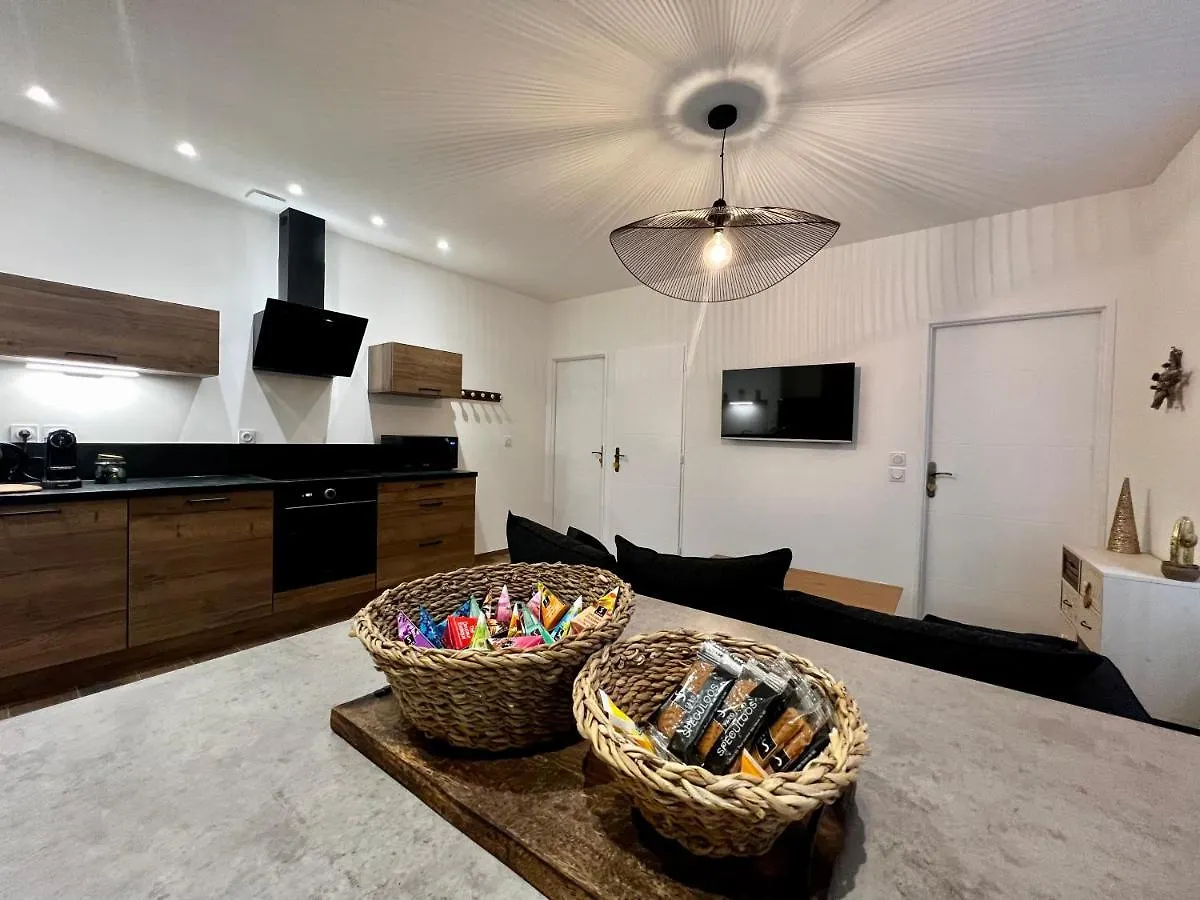 Appartement Cosy Centre Ville Roanne