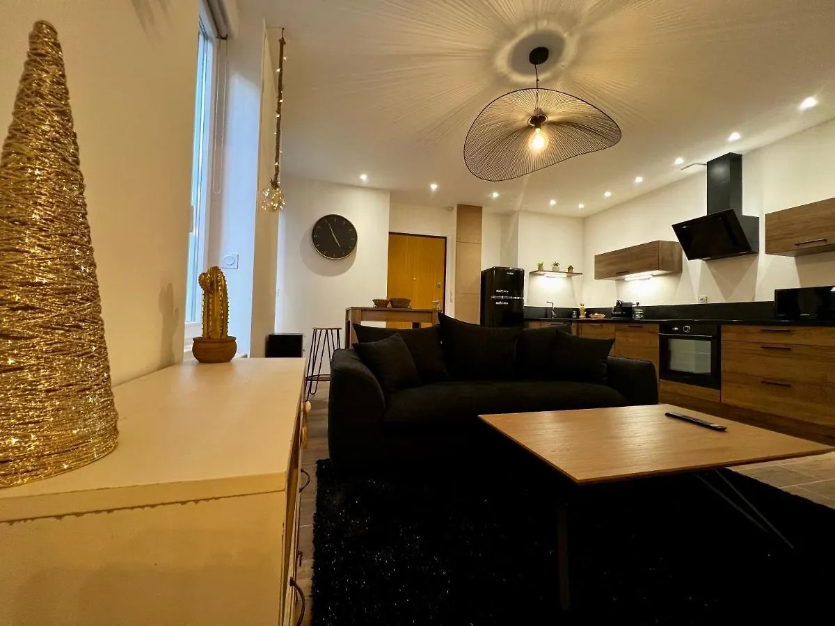 Appartement Cosy Centre Ville Roanne 0*,  Frankrike