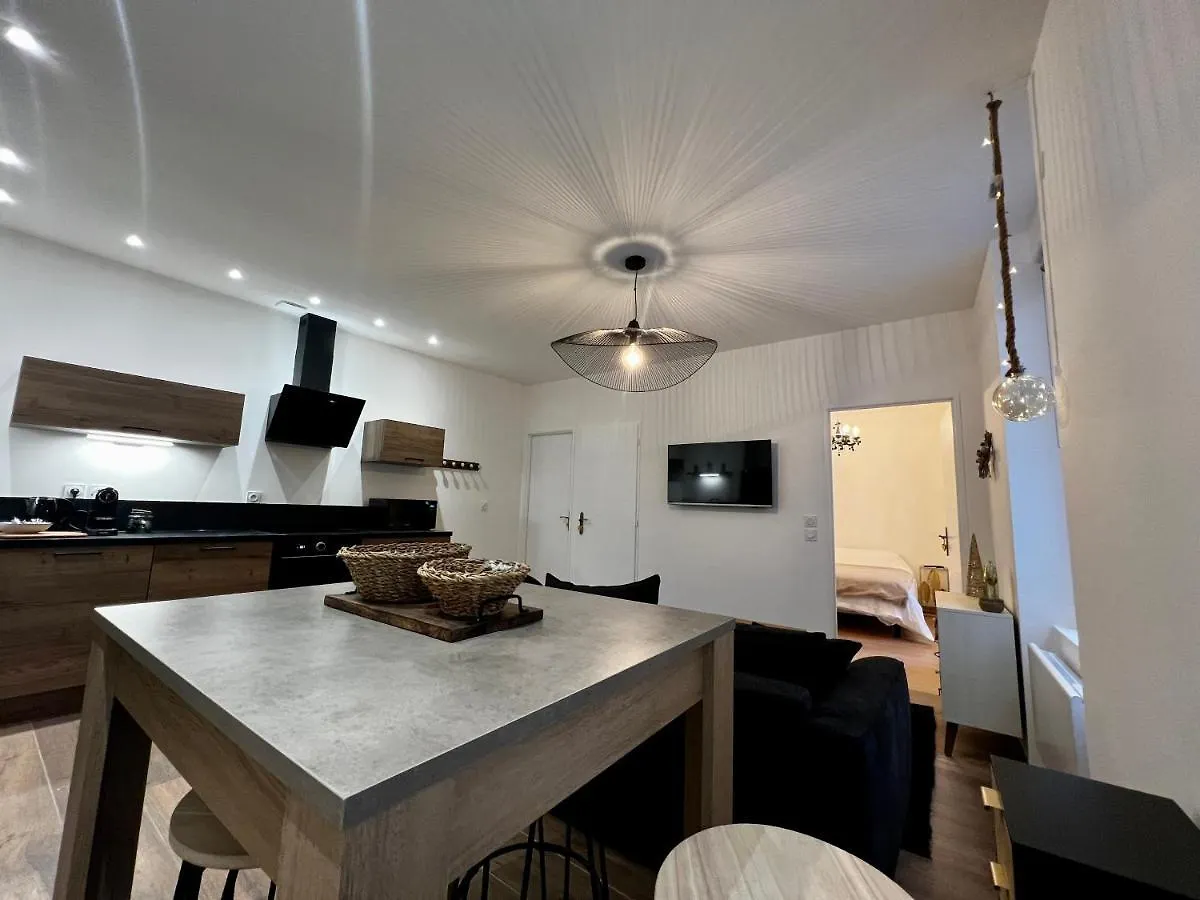 Appartement Cosy Centre Ville Roanne 0*,