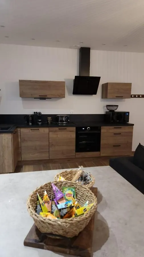 Appartement Cosy Centre Ville Roanne Frankrike