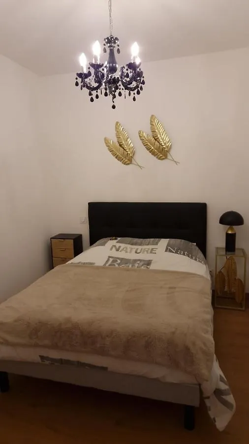 Appartement Cosy Centre Ville Roanne Lägenhet