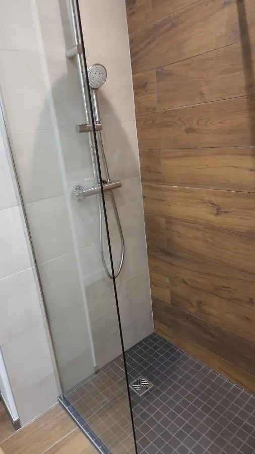 Appartement Cosy Centre Ville Roanne Lägenhet