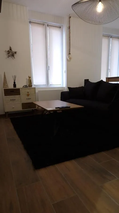 Lägenhet Appartement Cosy Centre Ville Roanne