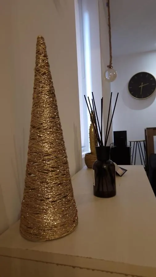 Appartement Cosy Centre Ville Roanne