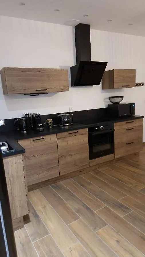 Lägenhet Appartement Cosy Centre Ville Roanne