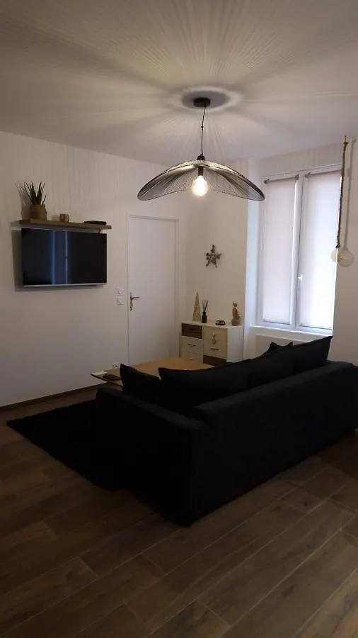 Appartement Cosy Centre Ville Roanne